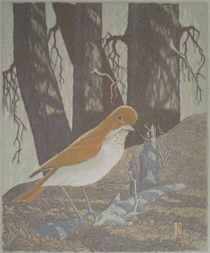 James D. Havens woodcut: James D. Havens- ''Shy Veery''- woodcut in colors, 1944, signed and annotated 'Del-Sc-Imp - 1944' in pencil, edition of 200, 36th Presentation Print of The Woodcut Society, very good condition. 9 1/2 