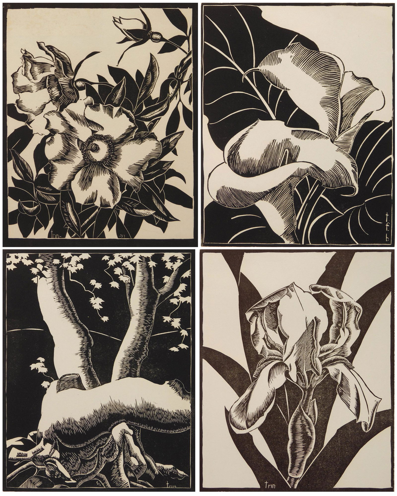 4 Trinidad Francis Bonn woodblocks (1 of 13)