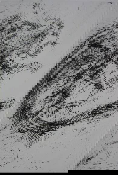 Leonard Baskin etching: Leonard Baskin- Wild Cat- etching, 1969, signed and numbered in pencil, edition of 90, very good condition. 17 3/4 x 11 3/4''