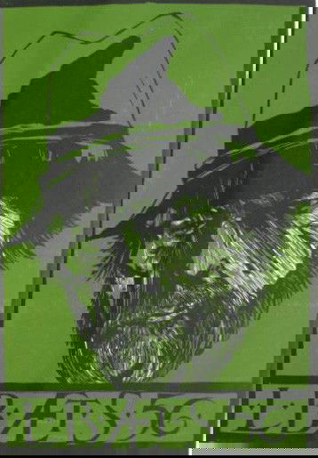 Leonard Baskin woodcut: Leonard Baskin- ''Self-Portrait at 56''- woodcut in two colors, signed and numbered in pencil, edition of 150, very good condition. 32 x 22''