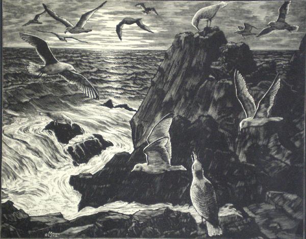 Leo Meissner wood engraving: Leo Meissner- ''Sea Gulls''- wood engraving, 1936-37, AAG edition of about 200, in original presentation sleeve, very good condition. 8 x 10''