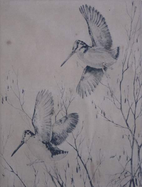 William Schaldach etching: William Schaldach- Long Beaked Birds- etching, 1930, signed in pencil, severely light struck, staining in margins and image, old blue residue top edge recto, overall fair condition. 8 1/4 x 6 3/8''