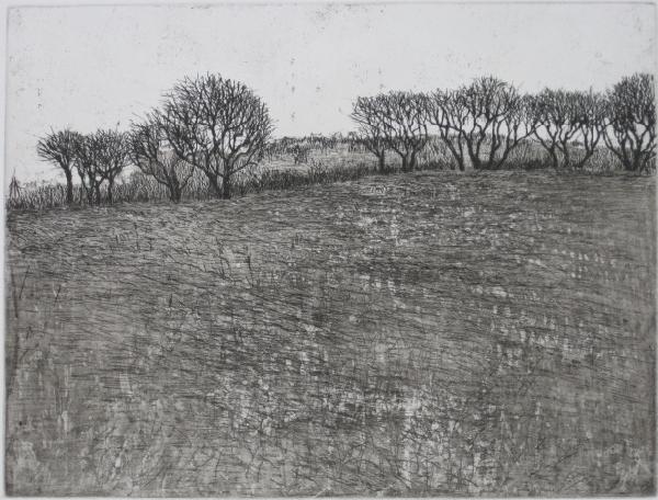 Moishe Smith etching and aquatint: Moishe Smith- ''Old Corn''- etching and aquatint, 1977, signed, titled and numbered 212/250 in pencil, AAA edition, very good condition. 8 7/8 x 11 3/4''