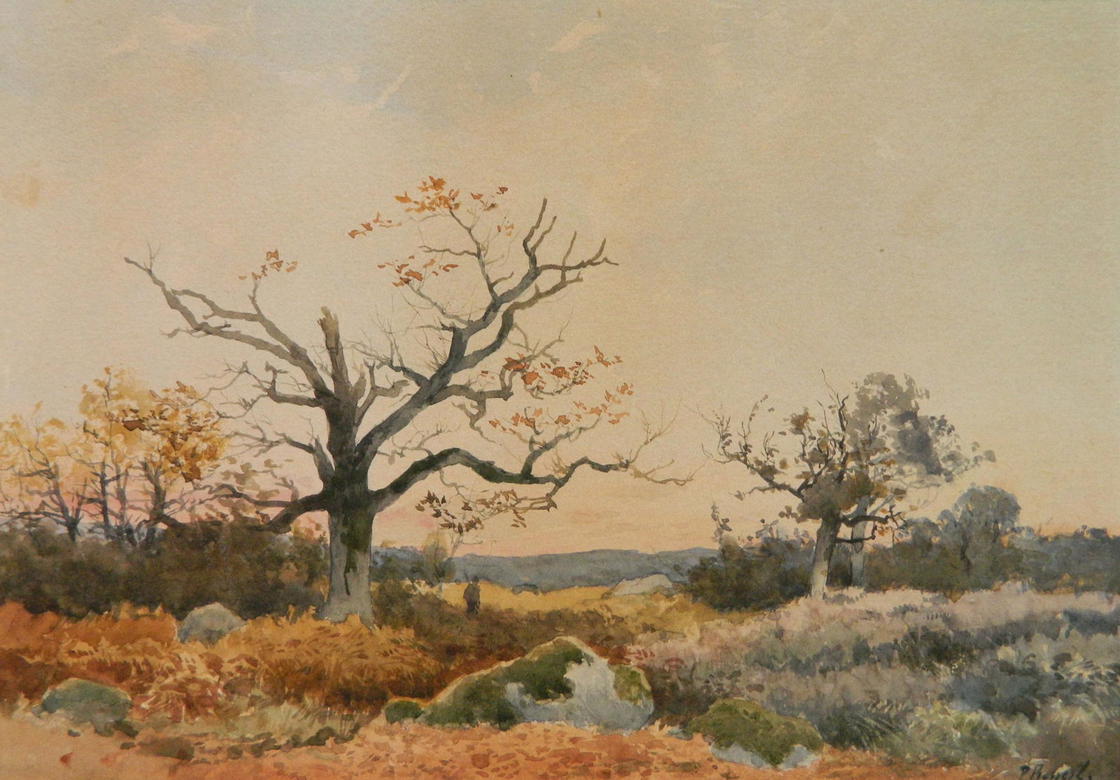 Percival Rosseau watercolor (1 of 5)