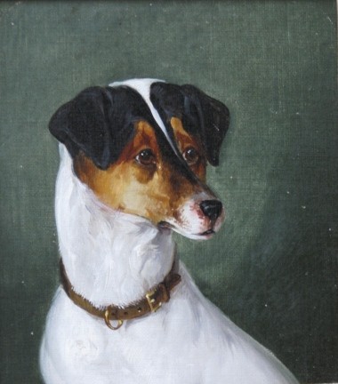 20th c. American School oil painting: 20th c. American School- Jack Russell with Brown Collar and Gold Buckle- oil on board, good condition. 5 7/8 x 5 3/16''