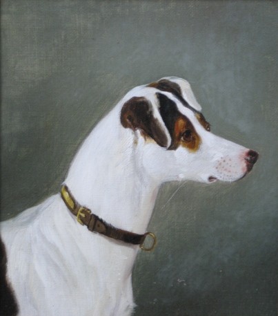 Contemporary School oil painting: Contemporary School- Jack Russell Looking Right- oil on board, signed illegibly, good condition. 5 7/8 x 5 3/8''