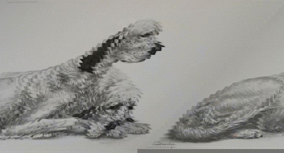 Leon Danchin etching: Leon Danchin- Setters Resting- etching with hand-coloring, signed and numbered 331 of 500, very good condition. 18 1/4 x 34''