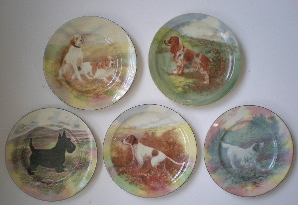 5 Royal Doulton porcelain plates: 5 Royal Doulton hand-painted porcelain plates- Spaniel; Pointer; Scottie, marked D.6304; A Large White Dog; 2 White & Brown Dogs, 1 sitting, 1 laying, marked D.5781- all marked on bottom, good conditi