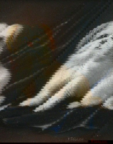 P. English oil painting: P. English- White Dog on Dark Blue Cloth- oil on canvas, signed lower right, good condition. 9 7/16 x 7 1/2''