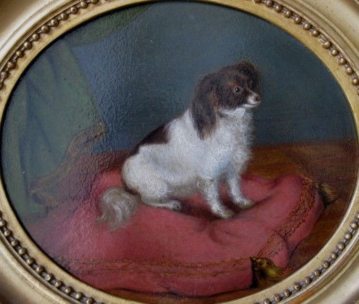 19th / 20th c. German School oil painting: 19th / 20th c. German School- Papillon on Red Pillow- oil on oval panel, good condition. 5 5/8 x 6 5/8''