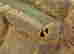 item-117303879=3