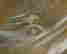 item-117303974=5
