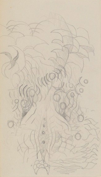 Charles E. Burchfield graphite: Charles E. Burchfield- Studies of A Venus Fly Trap- graphite on paper (recto and verso). 7 1/2 x 4 1/4''