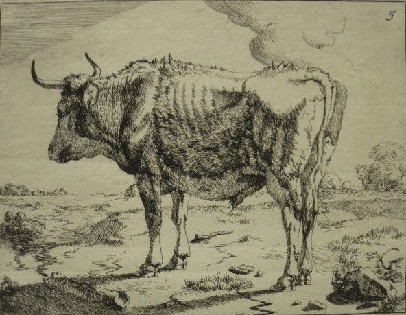 Marcus de Bye etching: Marcus de Bye- ''The Bull Turned to the Left'' (Bartsch 13)- etching after Paulus Potter, one spot of foxing, otherwise very good condition. 4 1/4 x 5 5/8''