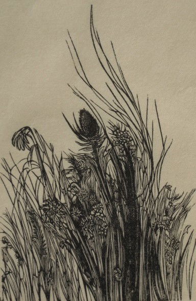 Leonard Baskin wood engraving: Leonard Baskin- ''Field'' (Fern & O'Sullivan 302)- wood engraving, 1957, signed in pencil, very good condition. 4 1/4 x 3 1/2''