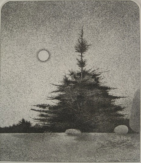 Ronald Ruble etching: Ronald Ruble- ''Pines''- etching, 1978, signed, dated and numbered 24/250, AAA edition, very good condition. 11 x 9 1/2''