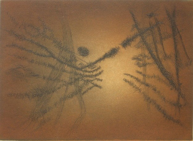 Ferdinand Springer etching: Ferdinand Springer- ''Ferns''- etching in colors, signed and numbered 62 of 75 in pencil.