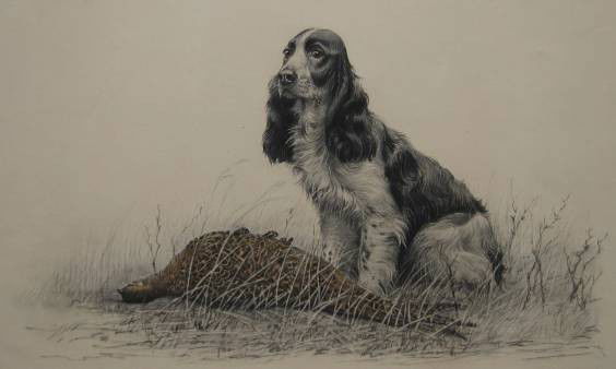 Leon Danchin lithograph: Leon Danchin- Springer Spaniel- Lithograph with handcoloring, signed in pencil, soiling on edges and stain bottom edge with minor handling creases and verso toned, otherwise good condition. 16 1/4 x 2