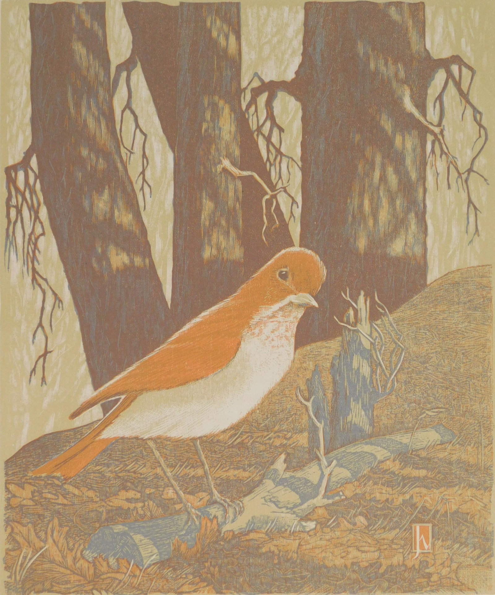 James D. Havens woodcut: James D. Havens (1900-1960) ''Shy Veery''- woodcut in colors, 1949, signed and dated in pencil, edition of 200, published by the Woodcut Society. 9 1/2 x 8''