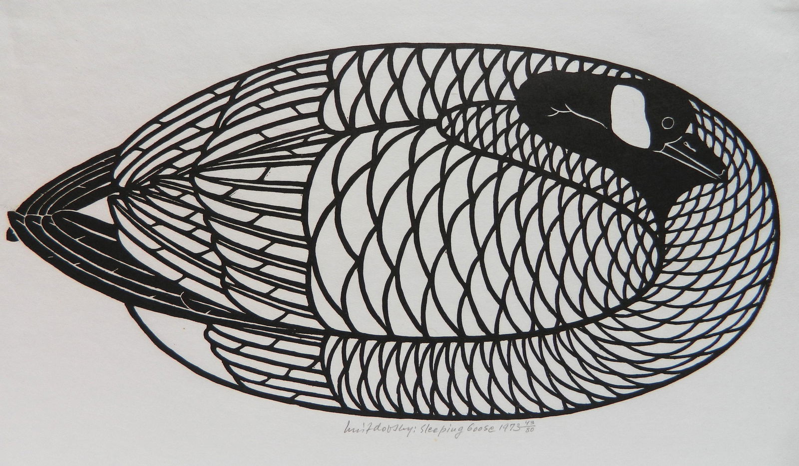 Jacques Hnizdovsky linocut: Jacques Hnizdovsky (Ukrainian 1915-1985) ''Sleeping Goose'' (Tahir 152) linocut, 1973, signed, dated, titled and numbered 43/80 in penccil. 8 7/8 x 17 7/8'' Provenance: Associated American Artists, N