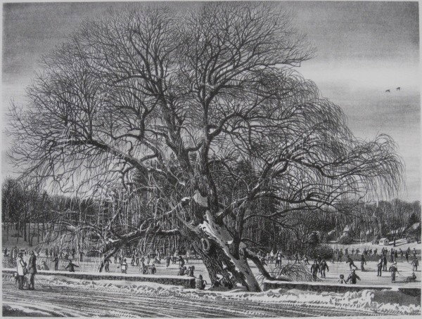 Walter Dubois Richards lithograph: Walter Dubois Richards (American 1907-)- ''Old Willow At Mead Park''- lithograph, ca. 1970, signed, titled and annotated 'artist's proof' in pencil, very good condition. 12 x 16''