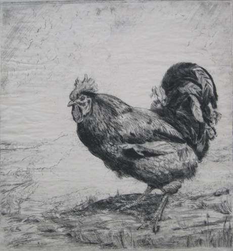 Paul Bough Travis etching: Paul Bough Travis (American 1891-1975)- ''Rooster''- etching, 1927, signed, dated and numbered 9/25 in pencil, several handling creases, soiling throughout, 3 masking tape hinges along top edge. 16 x