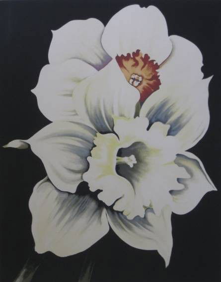 Lowell Nesbitt; Jon Naar - 2 prints: Lowell Nesbitt (American 1933-1993)- ''Narcissus and Daffodil''- silkscreen in colors, 1978, signed, dated and numbered 169/200 in pencil, publisher's blind stamp, minor handling creases, otherwise ve