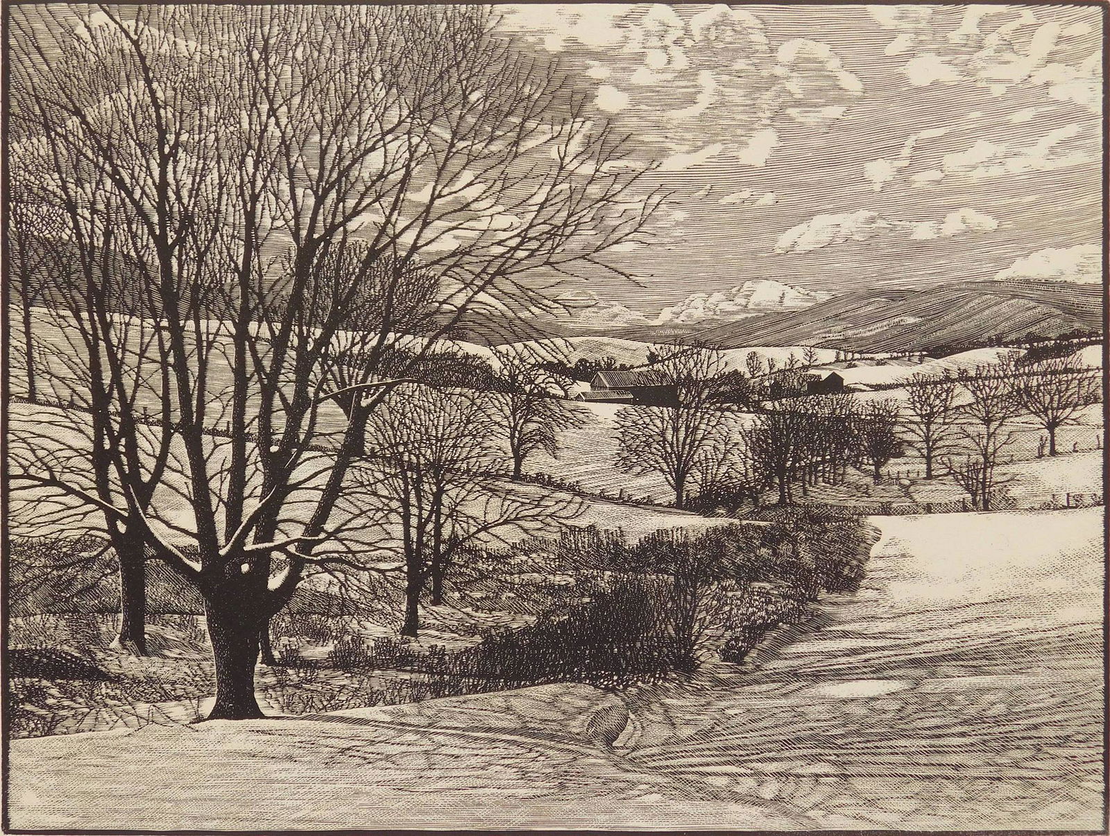 Warren Mack wood engraving (1 of 4)