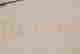 item-129900236=4