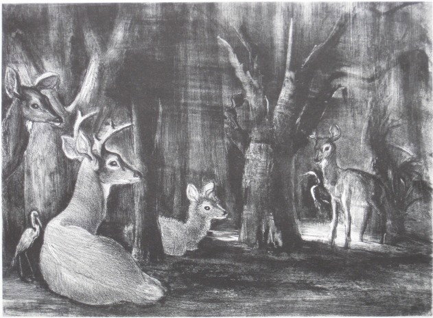 Victoria Hutson Huntley lithograph: Victoria Hutson Huntley- Florida Deer- lithograph, 1949, signed and dated in pencil, slightly light struck otherwise good condition. 9 3/4 x 12''