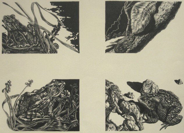 Jack Beal lithograph: Jack Beal- ''Frog and Toad''- lithograph, 1971, signed, titled and numbered 100/150 in pencil, very good condition. 15 x 21''