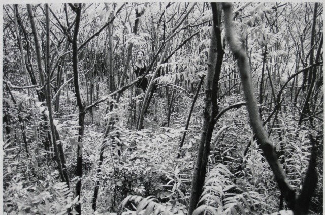 Abe Frajndlich black and white photograph: Abe Frajndlich- Mime in Forest- black and white photograph, 1973, signed and dated in pencil on the mount, very good condition. 7 3/4 x 11 1/2''