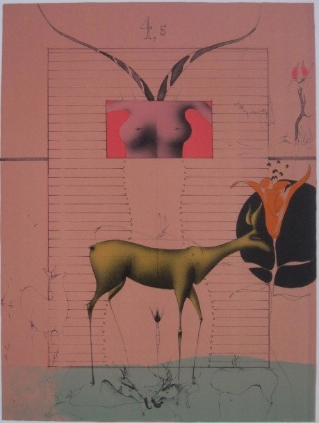 Paul Wunderlich lithograph in colors: Paul Wunderlich- ''Salomo IV 5: ...Wie Zwei junge Rehzwillinge...'' (Riediger 363)- lithograph in colors, 1969, stamped 'Aquarius Press 1970 verso, very good condition. 25 3/4 x 20'' (sheet)