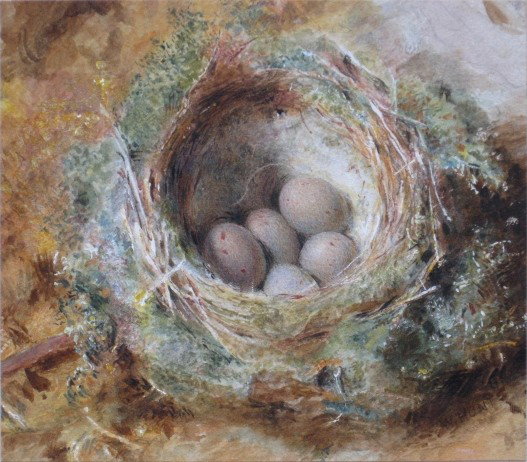 William Holman Hunt watercolor: William Holman Hunt (British 1827-1910)- Birds Nest- watercolor on paper, signed W. Hunt- lower right, laid down, otherwise very good condition. 4 3/8 x 5''