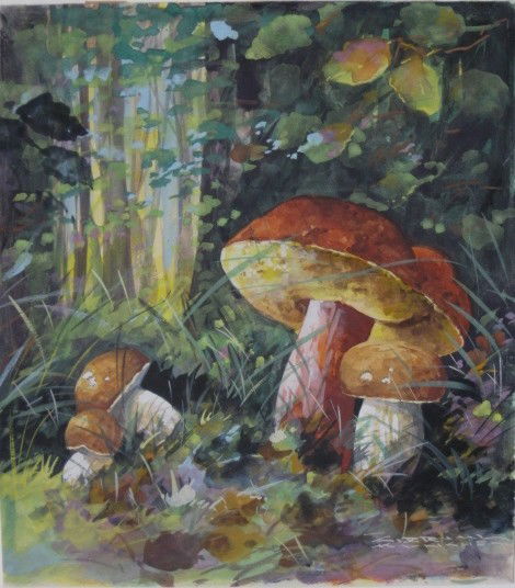 20th c. German School watercolor and gouache: 20th c. German School- Mushrooms- watercolor and gouache on paper, ca. 1940's, signed (illegibly) Munchen- lower right, very good condition. 10 1/4 x 9''