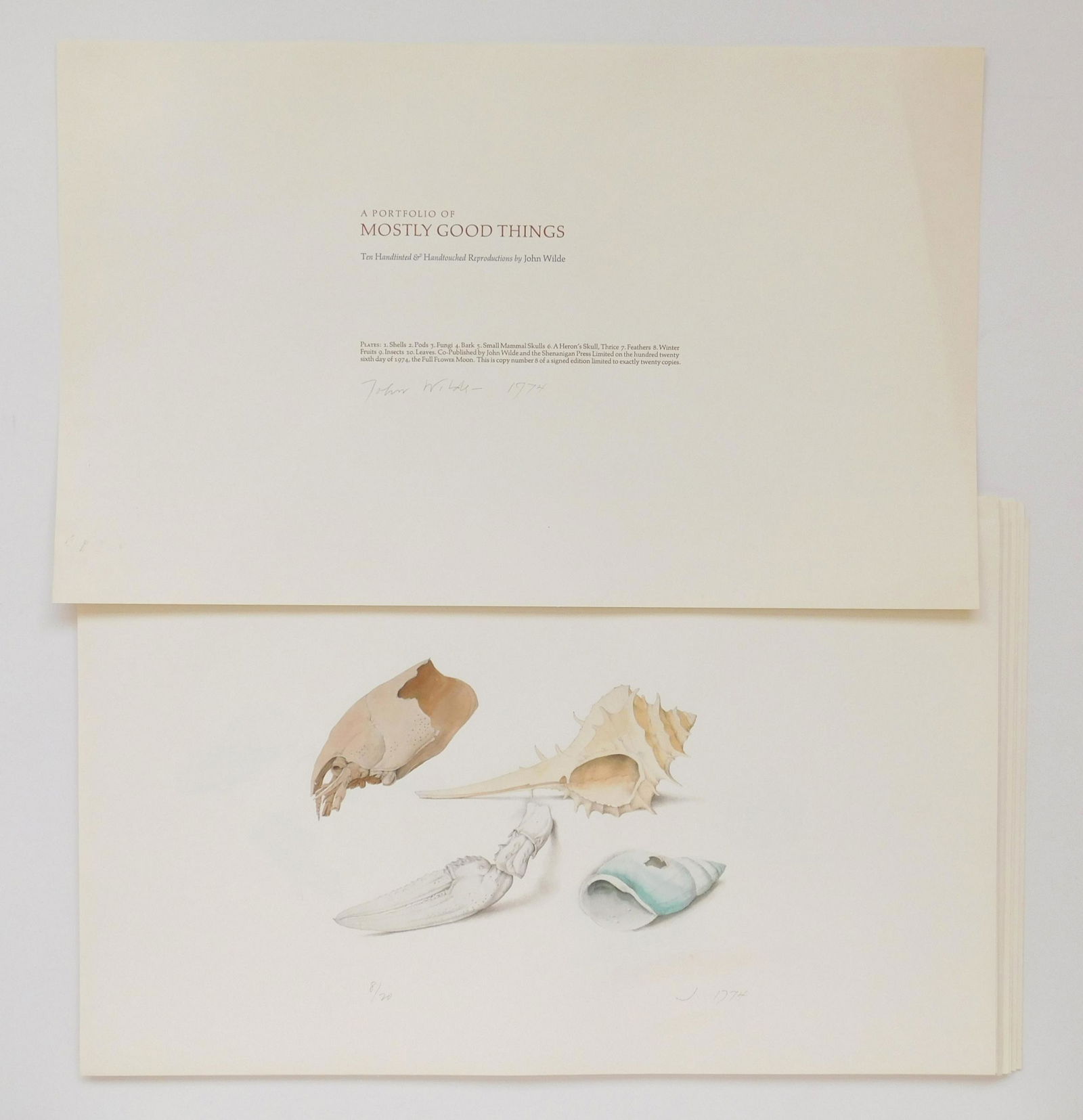 John Wilde portfolio (1 of 6)