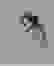 item-10041565=2