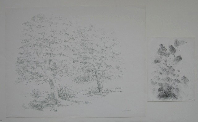 Joel Goldblatt 2 lithographs: Joel Goldblatt- ''Leaves and Light''; ''Two Trees''- 2 lithographs, signed and numbered 57/85, 55/102 in pen and pencil, good condition. 13 1/8 x 10''; 22 7/8 x 28 7/8''