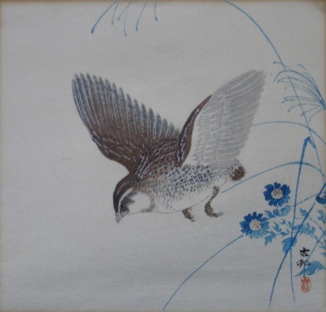 Koson Ohara woodblock: Koson Ohara- Bird- woodblock in colors, artist's chop in red at lower right, mat burn. 9 1/4 x 9 7/8'' (sheet)