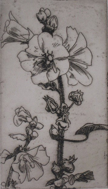Henry Keller 2 etchings: Henry Keller- ''Hollyhocks'' and ''Lotus and Pond Lilies''- 2 etchings, both signed in pencil, very good condition, various sizes.