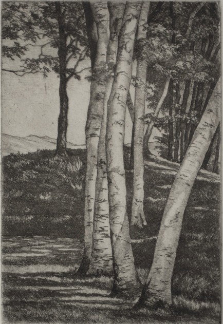 Luigi Lucioni etching: Luigi Lucioni- ''Birches'' (Embury 118)- etching, 1952, signed and numbered 32/50, published by AAA in 1976 as edition of 50, originally created as a Christmas card. 6 x 3 7/8''