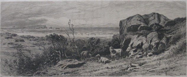 James D. Smillie etching: James D. Smillie- ''A Bit On Marblehead Neck'' (Witthoft 28)- etching, 1883, as published in ''Original Etchings by American Artists'' 1883, very good condition. 4 7/8 x 12''