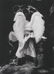 529: Abe Frajndlich black and white photograph