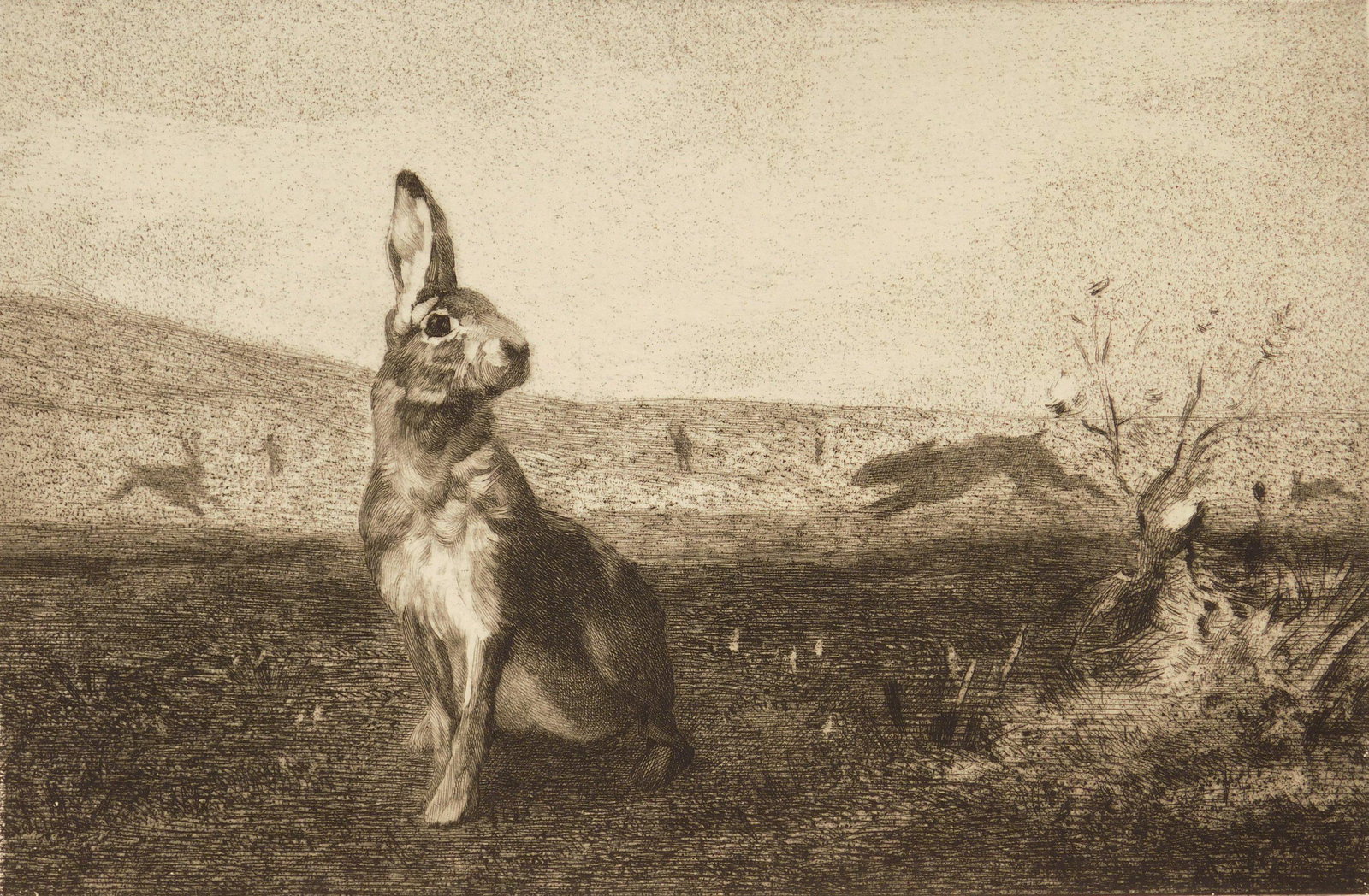 Felix Bracquemond etching (1 of 4)