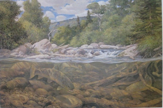 Lee Stroncek chromolithograph: Lee Stroncek- ''American Habitat''- off-set lithograph in colors, 1985, signed and numbered 257/750 in pencil, The original watercolor was used for the 1985 Trout Unlimited stamp, copy of the stamp is