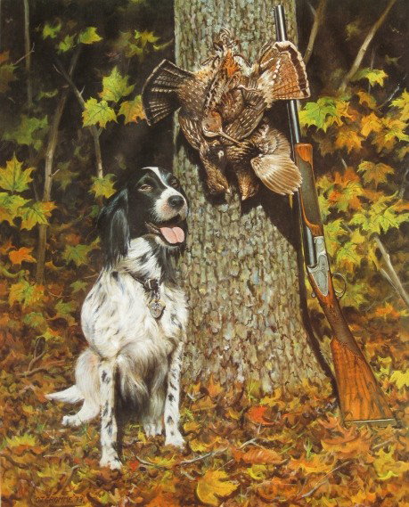 Owen Gromme chromolithograph: Owen Gromme- English Setter- off-set lithograph in colors, 1974, signed and numbered 55/580 in pencil, foxing and staining in margins. 21 3/4 x 17 1/2''