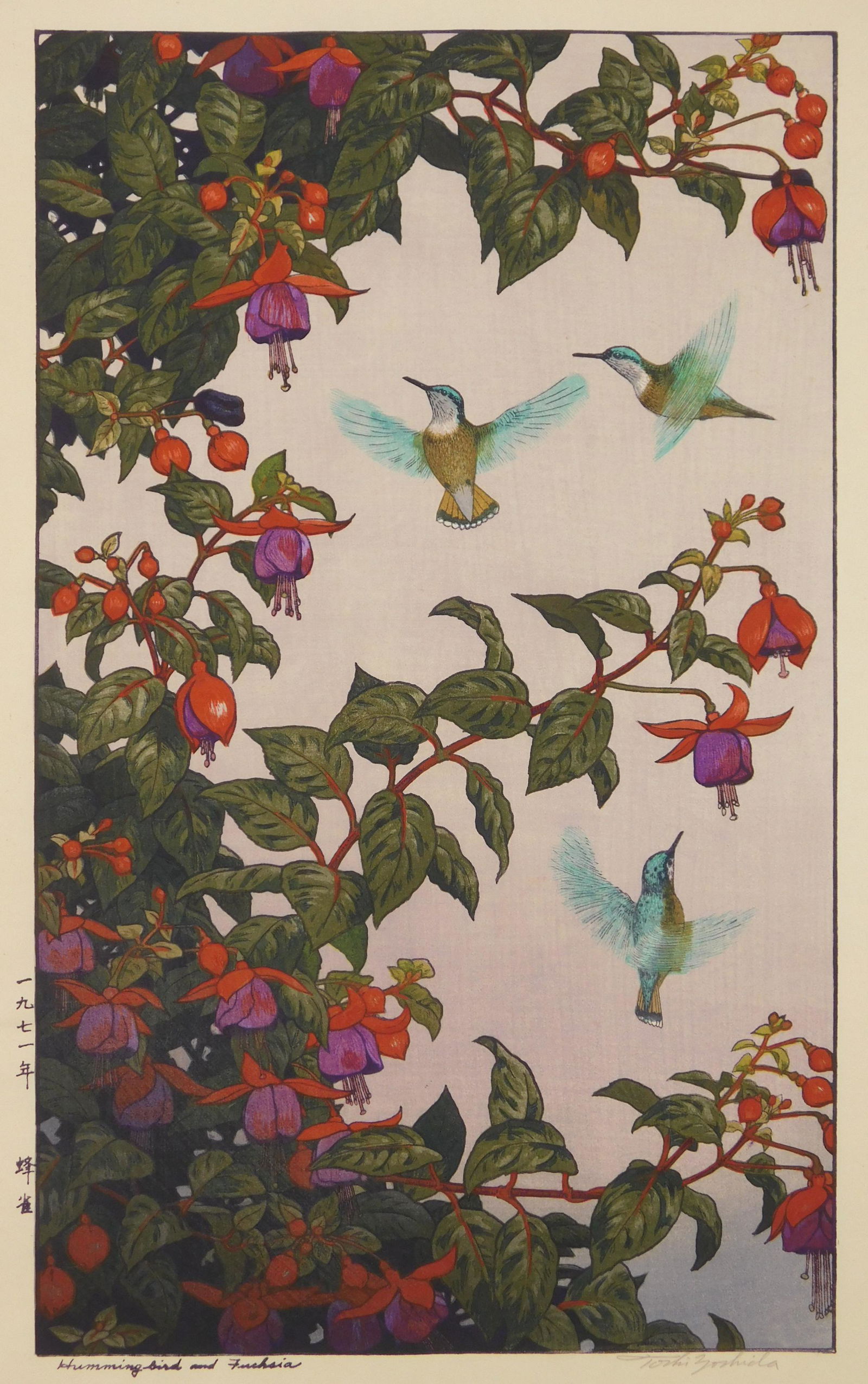 Toshi Yoshida woodcut in colors: Toshi Yoshida (Japanese 1911-1995) ''Hummingbird and Fuchsia''- woodcut in colors, signed in pencil and stamped title, good condition. 19 1/2 x 11 7/8''