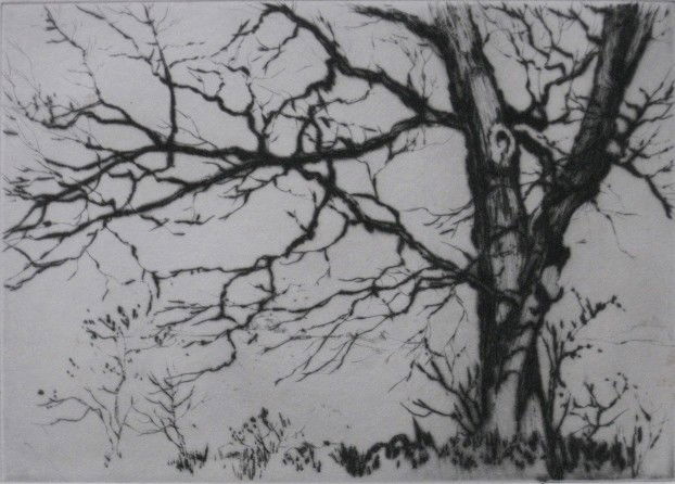 Samuel Chamberlain drypoint: Samuel Chamberlain- ''A Study of Trees'' (Chamberlain 251)- drypoint, 1926, some stains in margins, goes slightly into image on right side. 5 x 7''