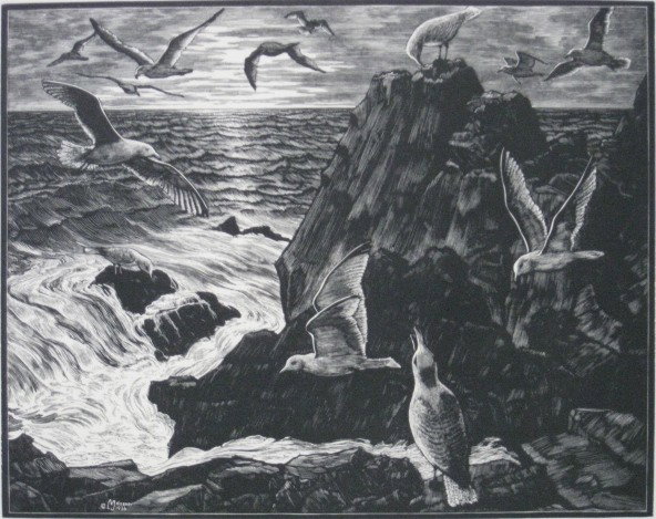 Leo Meissner wood engraving: Leo Meissner- ''Sea Gulls''- wood engraving, 1936, edition of about 200, published by American Artists Group. 8 x 10''
