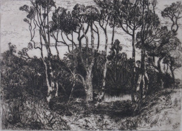 Mary Nimmo Moran etching: Mary Nimmo Moran- ''Solitude''- etching on chine colle, 1880, good condition. 5 3/8 x 7 5/8''